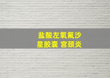 盐酸左氧氟沙星胶囊 宫颈炎